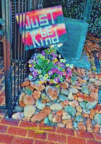 Screenshot_20260319_125652_Gallery