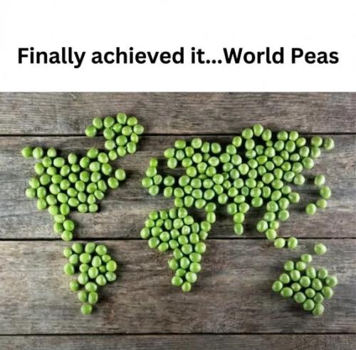 3e73916a1d4722c497889d2e2ce61992