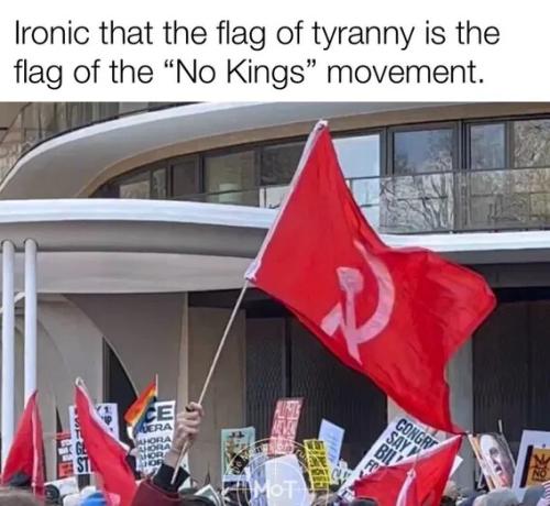 flag-of-tyranny-nokings