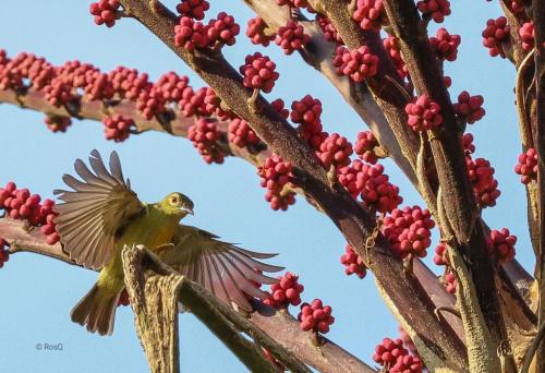 649125138_10237252034674684_1737329098628673198_n