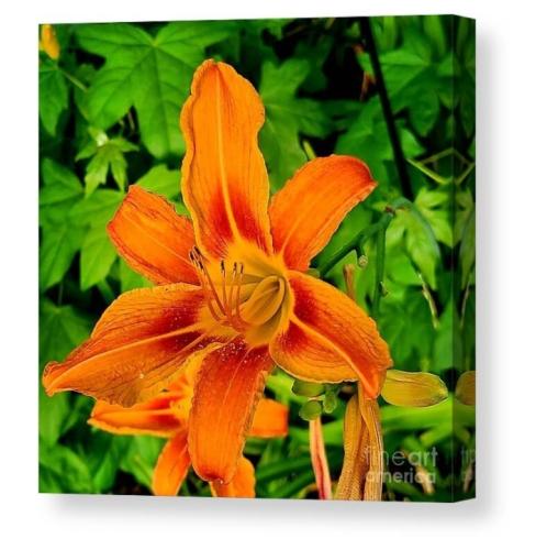 Screenshot_20260328_092342_Brave