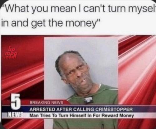 main-qimg-0bd8b869530ef907df2f7c8778bfd68a