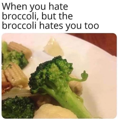 Screenshot_20260327_081553_Gallery