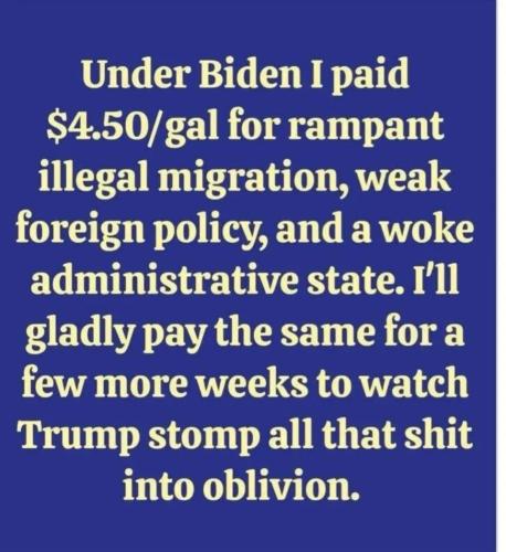 17733983345267455041650810450533_148223478754132