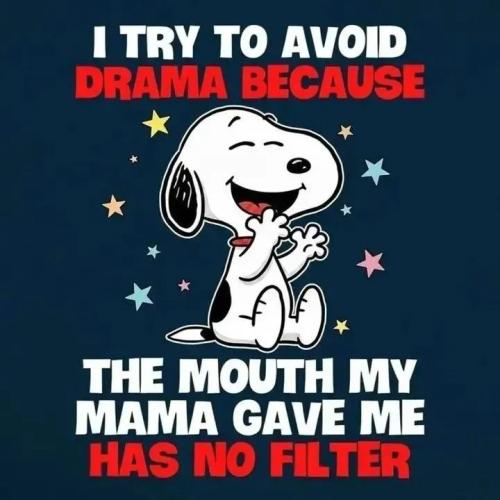 17733986686923356821531651165106_148559284172337