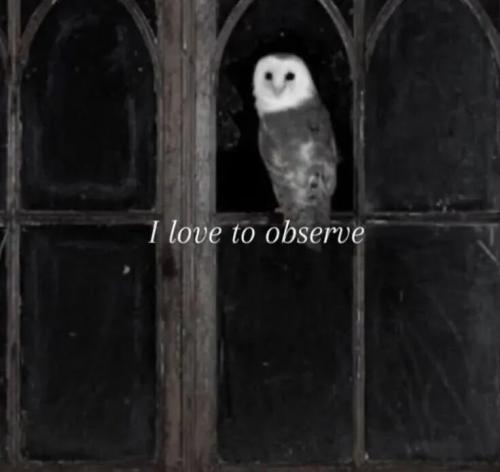 TESTHUB_photos_users_KPBY8Tc46ldqLjWXf6bqxqOW3AR2_-OnV29-J7A3bAvF1tJ8b_img_rsz__1100x1100