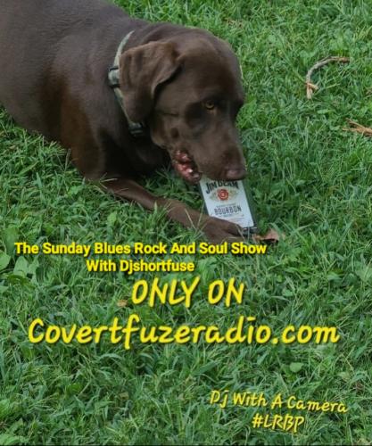 Screenshot_20260315_072811_Gallery