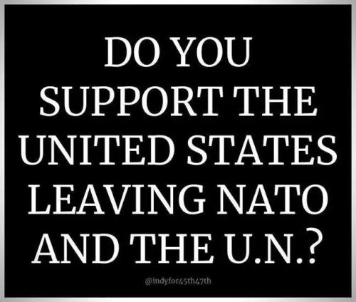 17738269593165634216203321105045_246482967273419