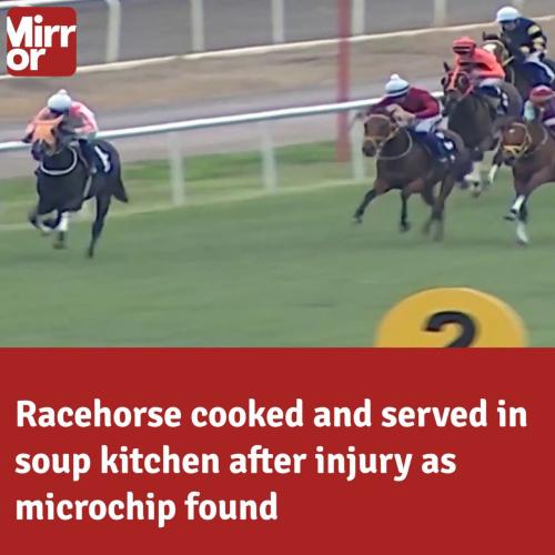 IMG_20260314_113937_354