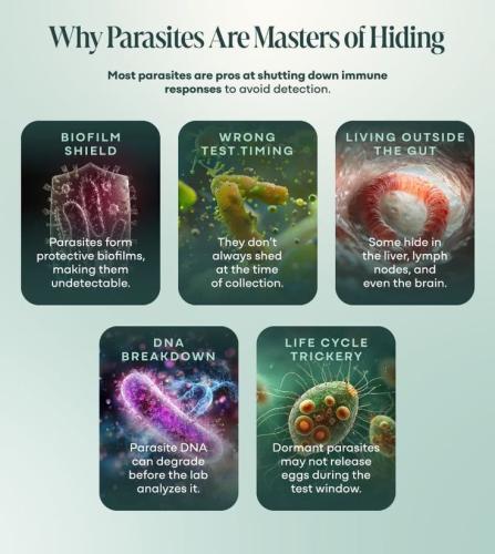 Why Parasites Are Masters Of Hiding