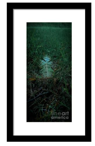 Screenshot_20260322_182534_Brave