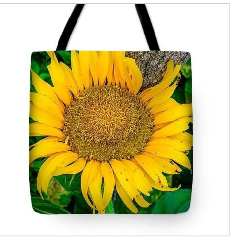 Screenshot_20260303_110815_Brave