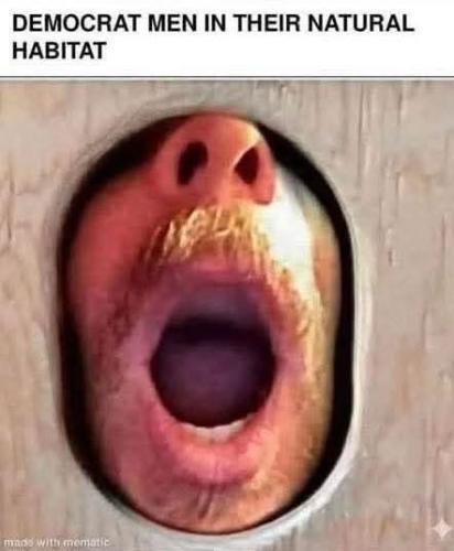 FB_IMG_1773708755418