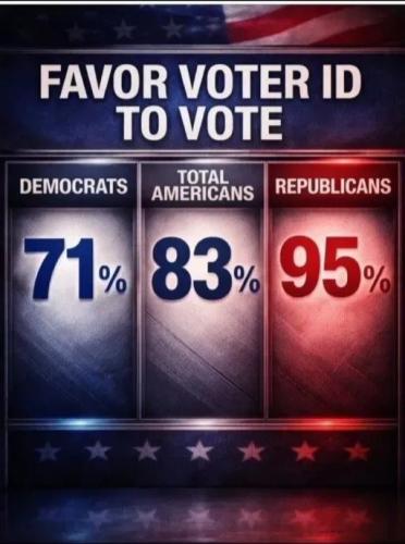 17730510067573565332351657446445_1810275499097553