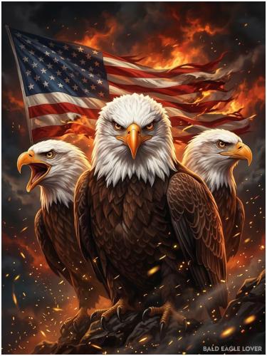 660549183_985883920788724_7059809917880493222_n