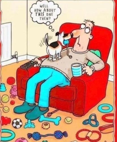 956dbf17d2f6dd5cb6889198b1ac8a89