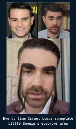 shapiro-eyebrows