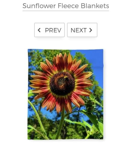 Screenshot_20260312_181318_Brave