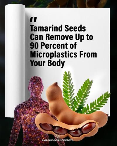 ,                             ,    ,