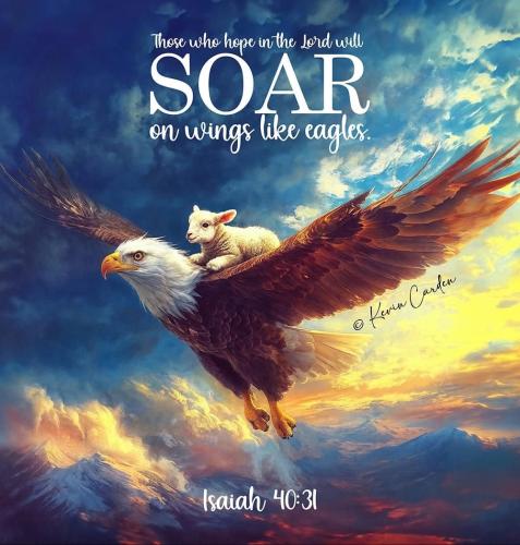 FAITH - Isaiah 40.31. IMG_0391