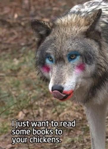 1773398428339297355996035440364_148313270506546