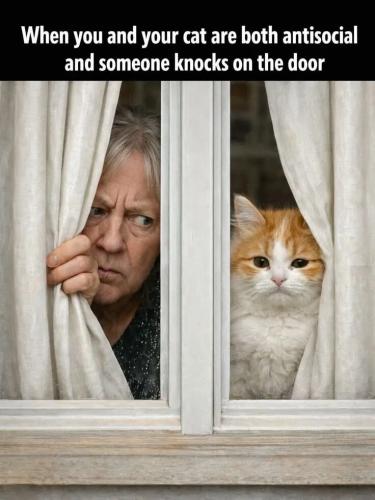 f4aa7a0209f7dc7f6a0c686f0199d3d1