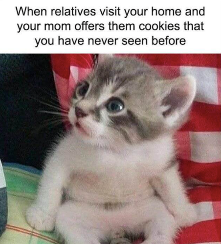 relatives-visit-home-and-mom-offers-them-cookies-have-never-seen-before