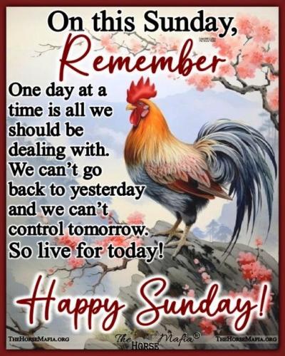 021124 - one day at a time