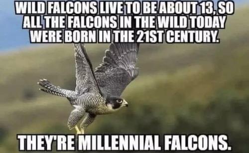 61b010f1-237b-4232-819b-4d2e165803c3