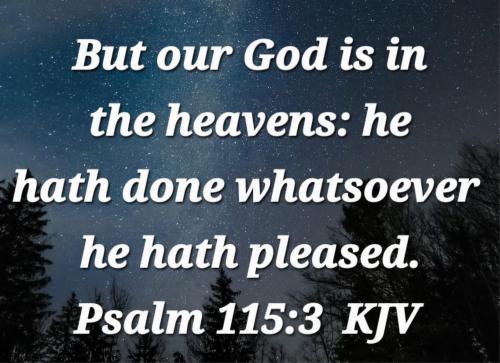 11e284a0-33bb-4dad-81c6-1dfd0966eed9