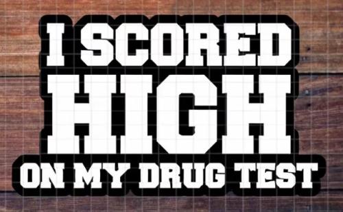 scored-high