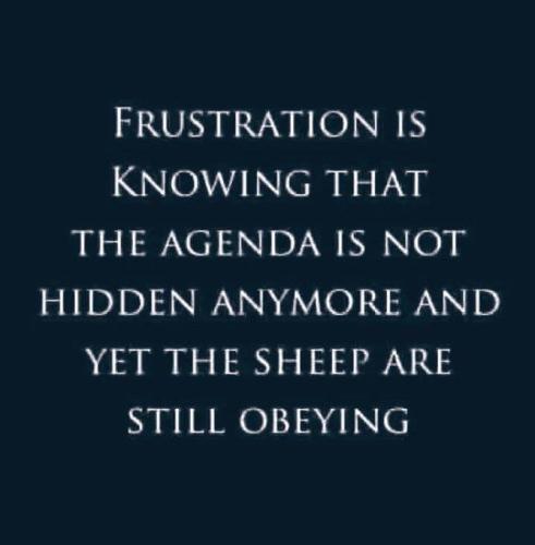 IMG_20260322_082921_922