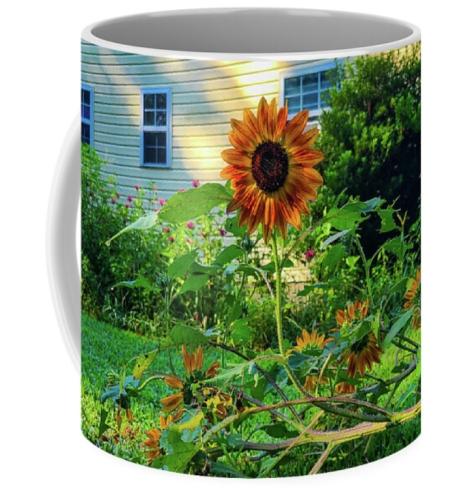 Screenshot_20260309_110837_Brave