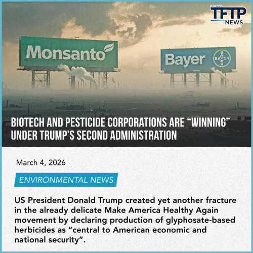 hdfhgdfgfdgdfgfdgdfgfdgffgfgvds3r3r3r3r