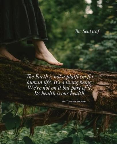 651675063_939950448715433_5010122566577472100_n