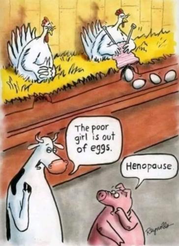 Screenshot_20260310_114851_Gallery