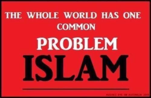 FB_IMG_1773245765233