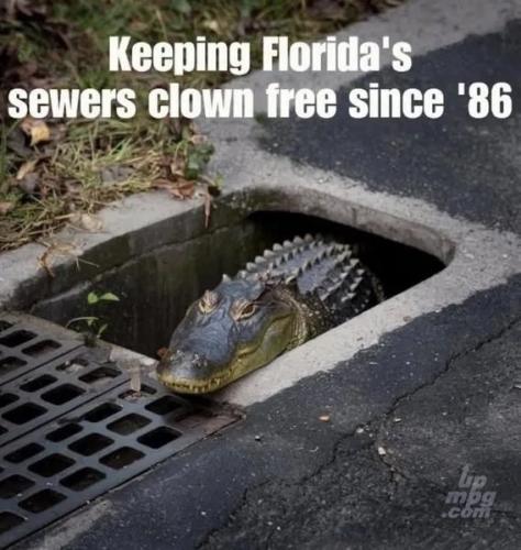 main-qimg-ccbe8c1584e4fed7f7b096c9f9c9881d