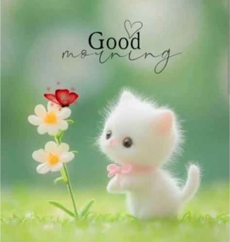 437405de75a26249c2ba640bdf7ef094