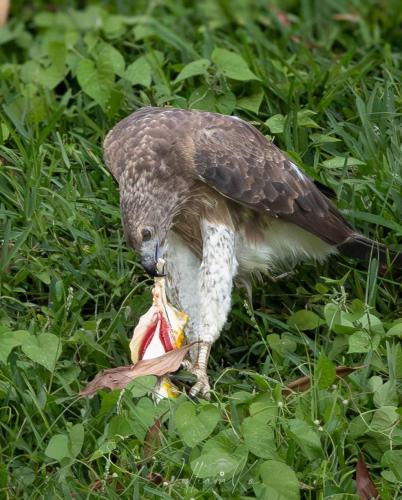 654321240_10226487606416722_5418627780711161550_n