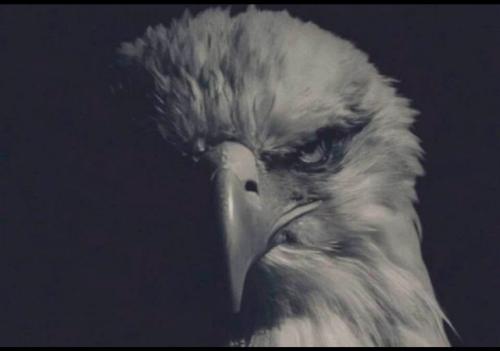 097D4531-1B9E-46F4-937C-3BDB7DBCA71F