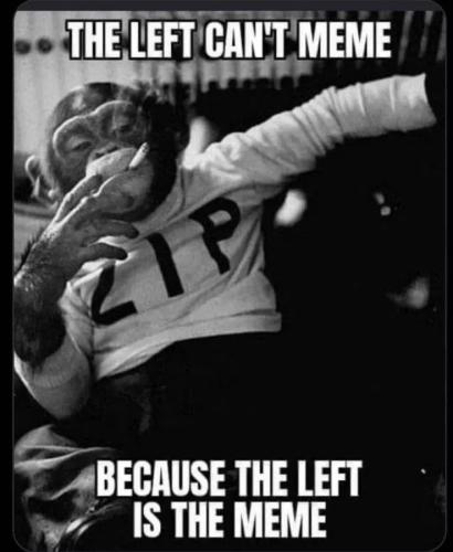 17742605458425372780426913607481_513734209794231