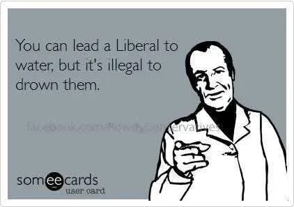 17739149108427028864275181547571_302165915283584