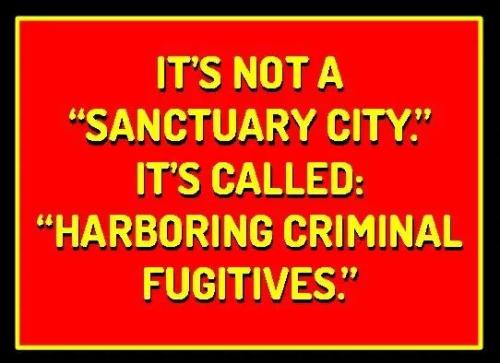 not-sanctuary-city