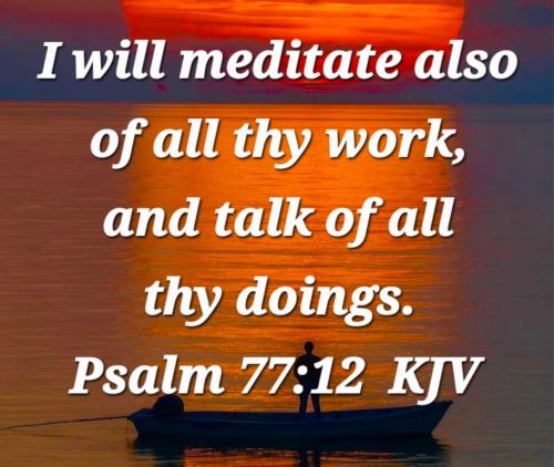 78c2b204-7e1a-4f55-8432-1ef3638857d5