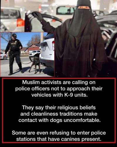 a muslim wim