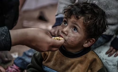 Gaza-kids-500x307
