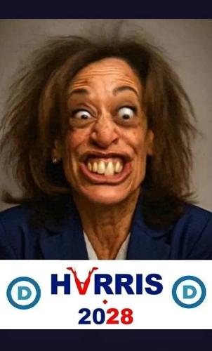 17737422934878609341527958405256_200525111545013