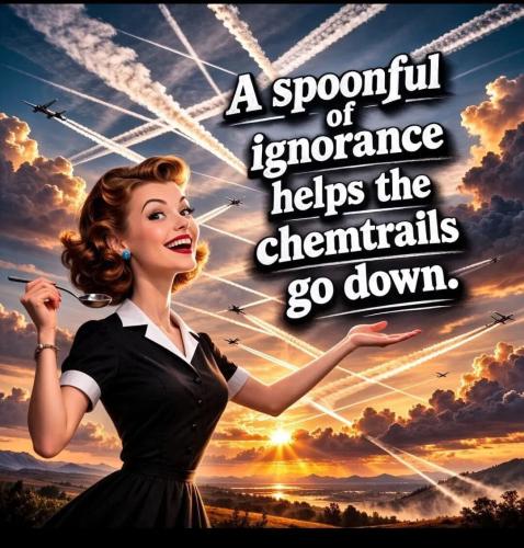 1f5a6f6935bbe123b6fc050a4c26557d