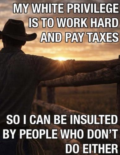 80b6d391-2eeb-46ec-a6a6-346aaab1d836